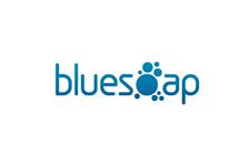 BlueSoap Website Design image 1