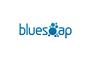 BlueSoap Website Design logo