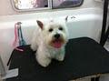 Yuppy Puppy Mobile Dog Grooming image 4