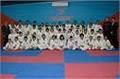 Martial Arts (Taekwondo) image 2