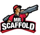 Mr Scaffold image 1