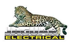 Jaguar Electrical Services image 1