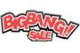 Big Bang Sale logo