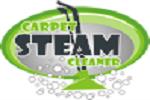 Carpet Steam Cleaner image 1