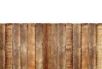 Classic Timber Fencing image 5