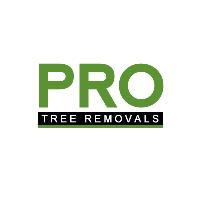 Pro Tree Removal Brisbane image 1