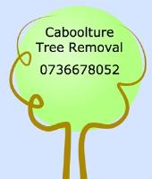 Caboolture Tree Removal image 1