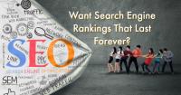 Searchical SEO Melbourne image 6