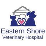 Eastern Shore Veterinary Hospital image 1