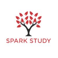 Spark International Student Services Pvt Ltd image 1