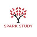 Spark International Student Services Pvt Ltd logo
