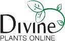 Divine Plants Online logo