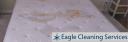Eagle Cleaning Services logo