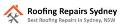 Roofing Repairs Newcastle logo