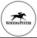 WinningPunter logo