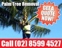 Sydney's Best Tree Removal image 3