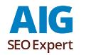 AIG Seo logo