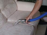 Adelaide Professional Carpet Cleaning image 4
