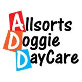Allsorts Doggie Day Care image 7