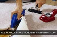 VIP Cleaning Services Melbourne image 2
