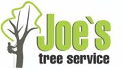 Joe’s Tree Service image 4