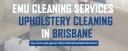 Emu Cleaning Services logo
