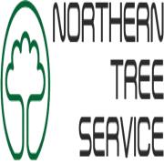 Northern Tree Service - Tree and Stump Removal image 5