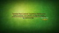 Termite Pest Control Treatment Melbourne image 2