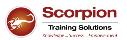 Scorpion Training Solutions logo
