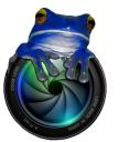 Blue Frog Photographer logo