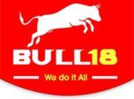 Bull18 Franchise Business image 1