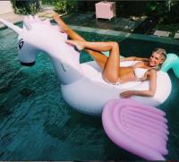 Buy Inflatable Pool Toys - Floappy image 2