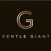Gentle Giant image 1