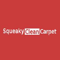Squeaky Clean Carpet image 1
