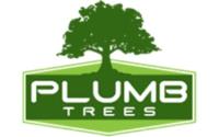 Plumb Trees image 1
