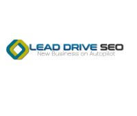 Lead Drive SEO image 1