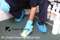 Carpet Cleaning Ascot Vale image 1