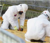 All Care Asbestos Removal - Melbourne image 3