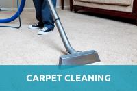 Squeaky Clean Carpet image 16