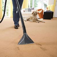 Carpet Cleaning Fitzroy North image 3
