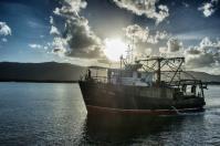Austral Fisheries image 2