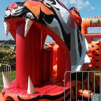 Footy Jumping Castles image 1