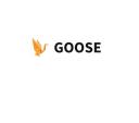 GOOSE VPN logo