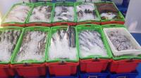 The Big Fish Fish Market image 5