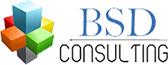 BSD Cconsulting Services image 4