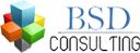 BSD Cconsulting Services logo