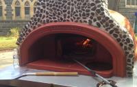 Pizza Ovens N More image 5