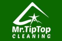 Rug Cleaning Melbourne | Mr Tip Top Cleaning image 2