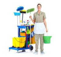 Premium Cleaning Group image 1