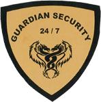 Guardian Security 24/7 image 1